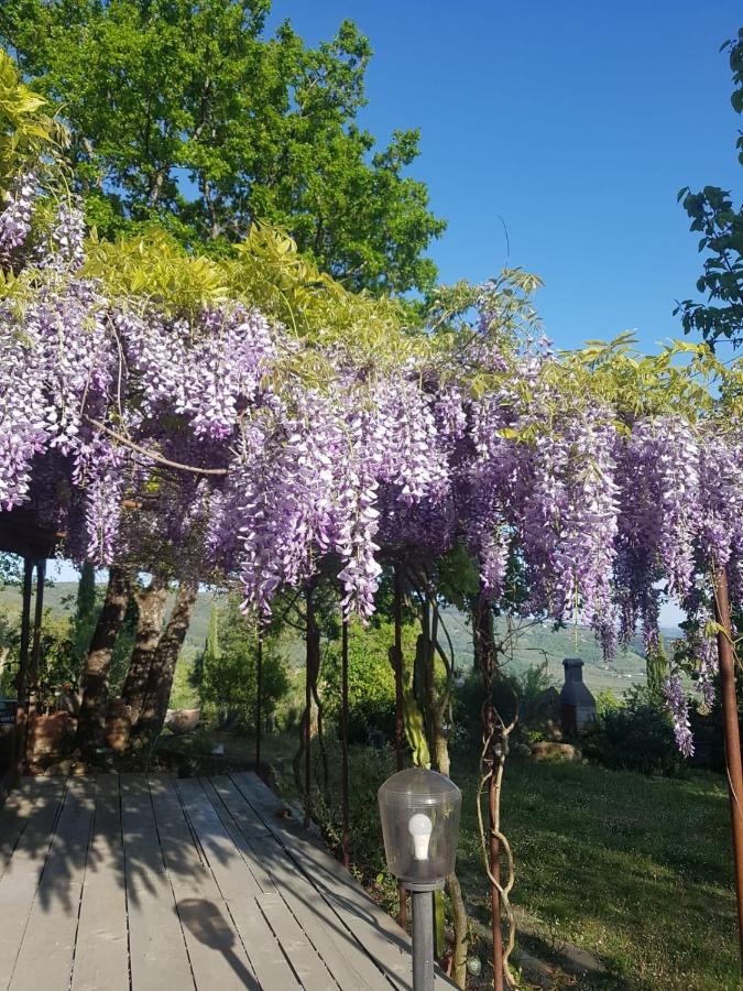 Вилла Casa Intera Giardino E Piscina Туоро-суль-Тразимено Экстерьер фото